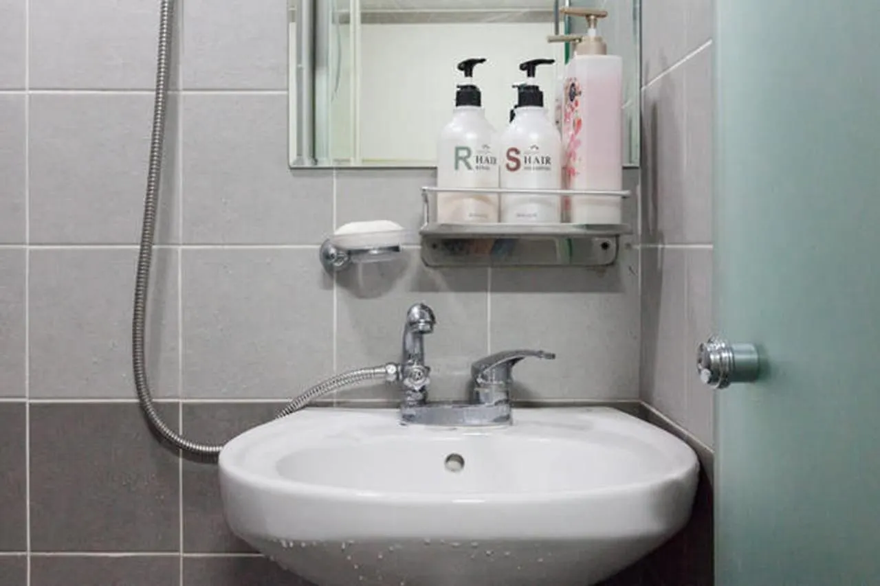 Red Panda Hotel Seoul Myeongdong 2*,